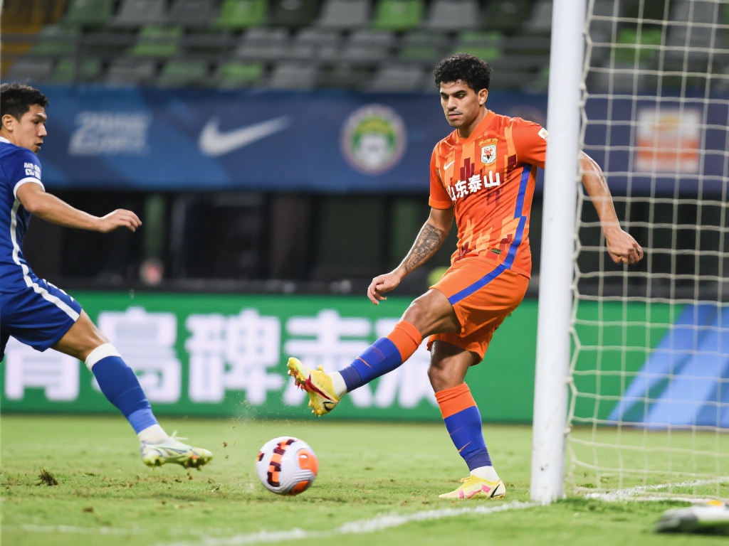 已经展现出 已经展现出